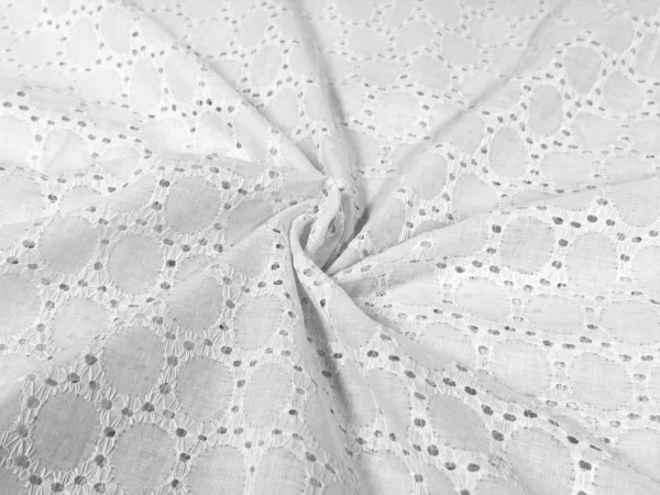 White Embroidered Hakoba Cotton Fabric